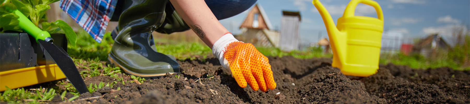 B-Planting-Seeds-1800x400