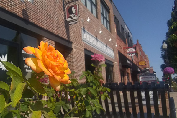 Flower in front of a small business